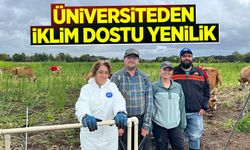 Üniversiteden İklim Dostu Yenilik