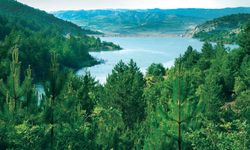 Yenipazar Baraj Göleti: Sakinliğin ve suyun dinginliği