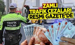Karayolları Trafik Kanunu'ndaki yeni düzenleme Resmi Gazete'de!