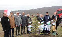 Bozüyük’te Orman Haftası Kapsamında Fidan Dikim Etkinliği