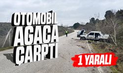 Otomobil Ağaca Çarptı: Sürücü Yaralandı