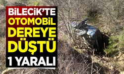 Otomobil Dereye Düştü: 1 Yaralı