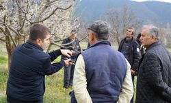 Gölpazarı’nda Üreticilere Budama Kursu