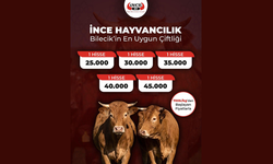 İNCE HAYVANCILIK