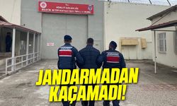 Dolandırıcılık zanlısı jandarmadan kaçamadı