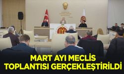 MART AYI MECLİS TOPLANTISI GERÇEKLEŞTİRİLDİ