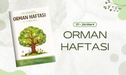 Miniklere Doğa Bilinci