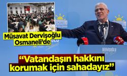 Müsavat Dervişoğlu, Osmaneli'de
