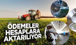 Ödemeler hesaplara aktarılıyor