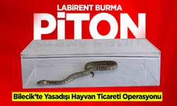 Bilecik’te Yasadışı Hayvan Ticareti Operasyonu