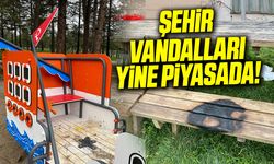 Şehir vandalları yine piyasada!