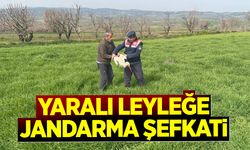 Yaralı Leyleğe Jandarma Şefkati