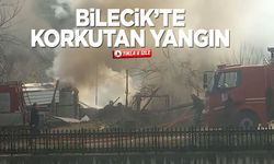 Bilecik'te korkutan yangın