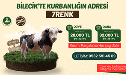 BİLECİK’TE KURBANLIĞIN ADRESi: 7 RENK