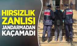 Hırsızlık zanlısı jandarmadan kaçamadı