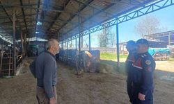 20 Vatandaşa Güvenlik Bilgilendirmesi