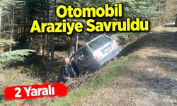 Otomobil araziye savruldu: 2 yaralı