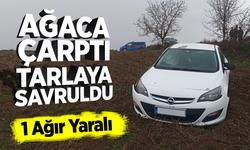 Ağaca çarptı, tarlaya savruldu