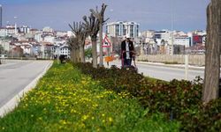 Bilecik’te Bahar Mesaisi: Parklar ve Refüjler Yenileniyor