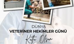 Bilecik’te Veteriner Hekimlere Anlamlı Kutlama