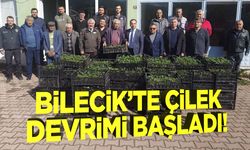 Bilecik'te Çilek Devrimi Başladı!