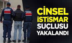 Cinsel İstismar Suçlusu Yakalandı