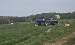 Doğru Beyan Güçlü Tarım