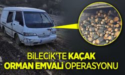 Bilecik'te Kaçak Orman Emvali Operasyonu