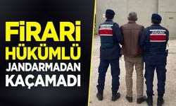 Bilecik'te Firari Hükümlü jandarmadan kaçamadı