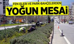 Fen İşleri ve Park-Bahçelerden Yoğun Mesai