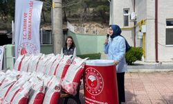 Gölpazarı’nda Üretim Hamlesi: 10 Bin Dekarı Aşan Ayçiçeği Ekimi Hedefi