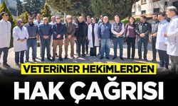 Veteriner Hekimlerden Hak Çağrısı