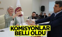 Bilecik Belediye Meclisinde Komisyonlar Belli Oldu
