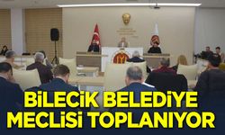 Bilecik Belediye Meclisi Toplanıyor