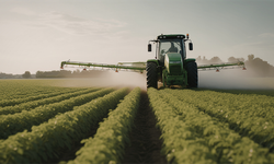 Ödemeler Hesaplara Aktarılıyor