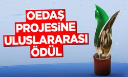 OEDAŞ Projesine Uluslararası Ödül