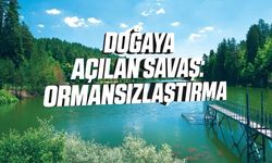 DOĞAYA AÇILAN SAVAŞ: ORMANSIZLAŞTIRMA