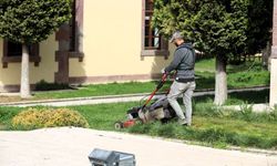 Söğüt’te Çim Biçme Çalışmaları Başladı