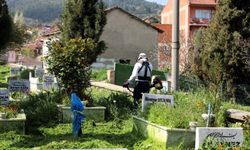 SÖĞÜT’TE MEZARLIKLARDA YOĞUN BAKIM