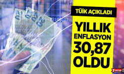 Yıllık enflasyon 30,87 oldu