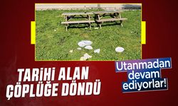 Tarihi alan çöplüğe döndü: Utanmadan devam ediyorlar