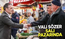 Vali Sözer Salı Pazarı'nda