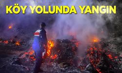 Köy yolunda yangına anında müdahale