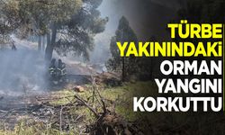Türbe yakınındaki orman yangını korkuttu