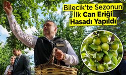Bilecik’te Sezonun İlk Can Eriği Hasadı Yapıldı