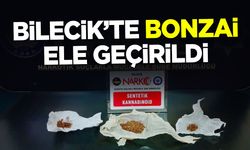Bilecik'te Bonzai Ele Geçirildi