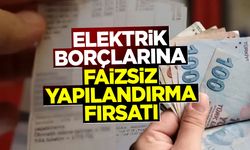 Elektrik borçlarına faizsiz yapılandırma fırsatı