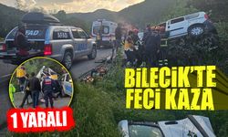 Bilecik’te Kamyonet Takla Attı