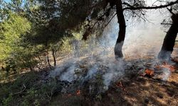 Ormanlık Alanda Korkutan Yangın