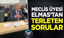 Meclis Üyesi Elmas'dan Terleten Sorular